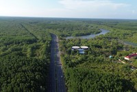 Dự kiến tuyến metro đến Cần Giờ sẽ đi dọc tuyến đường Rừng Sác hiện nay- Ảnh: Việt Dũng