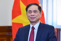Phó thủ tướng, Bộ trưởng Bộ Ngoại giao Bùi Thanh Sơn
