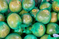 Bưởi Việt Nam đã sẵn sàng xuất khẩu chính ngạch sang Australia.