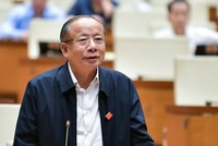 Đại biểu Quốc hội Nguyễn Văn Thân, Chủ tịch Hiệp hội doanh nghiệp nhỏ và vừa Việt Nam.