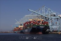 Tàu chở hàng hóa neo tại cảng ở Los Angeles, California, Mỹ. Ảnh: THX/TTXVN