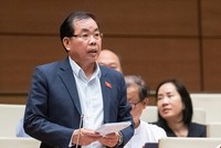 Đại biểu Nguyễn Quang Huân phát biểu tại hội trường. 