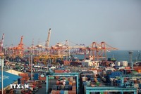 Quang cảnh cảng hàng hóa ở Busan, Hàn Quốc. (Ảnh: THX/TTXVN)