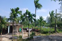 Khu du lịch sinh thái Lê Phan nằm trên phường phường Cẩm An, thành phố Hội An.