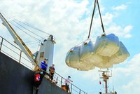 Giá gạo xuất khẩu trung bình 4 tháng đầu năm 2025 giảm 19,8% so với cùng kỳ năm 2024 