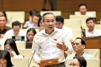 Đại biểu Phan Đức Hiếu, Ủy viên Ủy ban Kinh tế của Quốc hội phát biểu tại nghị trường 