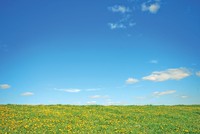 Nhà đầu tư nước ngoài vẫn dõi theo thị trường Việt Nam