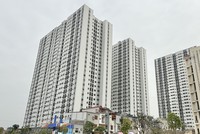 Hải Phòng kiên quyết thu hồi căn hộ chung cư với trường hợp vi phạm sử dụng tài sản công 