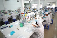 Năm 2025, nhiều doanh nghiệp ngành dược đặt mục tiêu tăng trưởng cả về doanh thu lẫn lợi nhuận