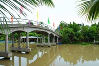 Dự án nâng tĩnh không cầu đường bộ khu vực phía Nam: Nguy cơ lụt tiến độ vì vướng mặt bằng