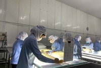 Đầu tư phát triển bền vững mang lại nhiều lợi thế cho doanh nghiệp trong hoạt động xuất khẩu hiện nay.