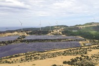 Quy hoạch Điện VIII điều chỉnh đặt ra mục tiêu đến năm 2030, tổng công suất điện gió đạt 26.066 - 38.029 MW. Ảnh: Đ.T 