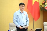 Phó chủ tịch Quốc hội Vũ Hồng Thanh điều hành phiên họp.