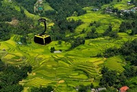 Công ty Cáp treo Fansipan công bố kết quả kinh doanh 2024