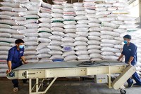 Gạo chất lượng cao đang chiếm 60 - 70% tổng lượng gạo xuất khẩu của Việt Nam. Ảnh: Đức Thanh 