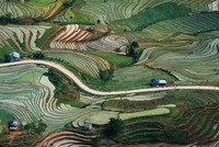 Sửa đổi tiêu chí phân bổ vốn Chương trình phát triển kinh tế - xã hội vùng đồng bào dân tộc thiểu số và miền núi 