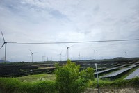 Ninh Thuận có 12 khu đất đấu thầu thực hiện dự án điện mặt trời 