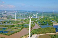 Toàn cảnh Dự án điện gió Sunpro tại Bình Đại (Bến Tre).