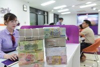 Khoản vay xanh là công cụ tài chính xanh được sử dụng nhiều nhất ở Việt Nam, các ngân hàng cung cấp chính bao gồm BIDV, MB, VPBank và TPBank 