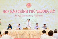 Bộ trưởng, Chủ nhiệm Văn phòng Chính phủ Trần Văn Sơn trả lời báo chí tại buổi họp báo. (Ảnh: Mạnh Tuấn).