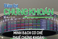 Báo Đầu tư Chứng khoán số 28