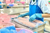 Cá tra Việt Nam có triển vọng xuất khẩu sang khu vực thị trường Mercosur, nhất là Brazil. 