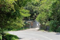 Chính phủ yêu cầu Đà Nẵng đẩy nhanh tiến độ thực hiện tháo gỡ khó khăn cho 13 dự án trên bán đảo Sơn Trà.