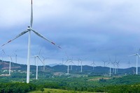Quy định pháp lý hiện nay khiến nhiều dự án điện gió mới trên đất liền khó triển khai ngay từ bước đầu. 