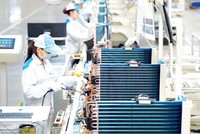 Nhiều nhóm hàng bội thu xuất khẩu 