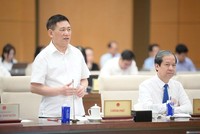 Phó thủ tướng Hồ Đức Phớc phát biểu tại phiên họp. 