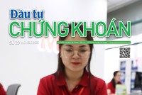 Báo Đầu tư Chứng khoán số 29