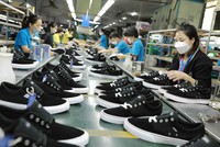 Thương mại Việt - Anh sau hơn 4 năm thực thi FTA song phương 