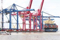 Phí hạ tầng cảng biển tạm thời vẫn áp dụng tại khu vực TP.HCM cũ chưa áp dụng ở Bình Dương (cũ) và Bà Rịa - Vũng Tàu (cũ). Ảnh: Lê Anh