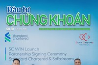 Báo Đầu tư Chứng khoán số 30