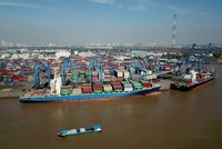 Các doanh nghiệp đầu ngành vẫn đang mở rộng đội tàu