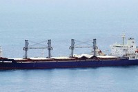 PVT Logistics kiên định với chiến lược trẻ hoá đội tàu để đón đầu cơ hội bứt phá