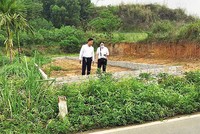 Nhà đầu tư đất nền vùng ven đang dần trở nên thận trọng hơn. Ảnh: Trương Thanh 