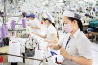 Doanh nghiệp thích ứng với thuế quan, tìm thị trường mới 