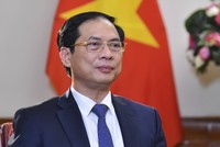 Phó Thủ tướng, Bộ trưởng Bộ Ngoại giao Bùi Thanh Sơn