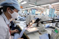 Doanh nghiệp thuộc nhiều ngành hàng như dệt may, thủy sản, gỗ đã và đang nỗ lực đa dạng hóa thị trường xuất khẩu 