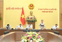 Phó chủ tịch Quốc hội Nguyễn Khắc Định phát biểu tại phiên họp. 