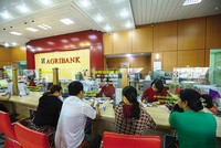 Agribank chủ động triển khai đồng bộ nhiều công cụ để quản lý hạn mức tín dụng và chất lượng tín dụng. Ảnh: Đức Thanh 