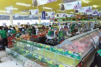 Chuỗi Bách Hoá Xanh vẫn còn lỗ luỹ kế lớn