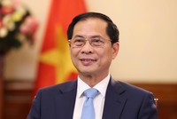 Phó Thủ tướng, Bộ trưởng Bộ Ngoại giao Bùi Thanh Sơn.