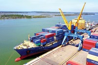 Ngành vận tải phân hóa mạnh