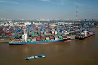 Nhiều doanh nghiệp vận tải mở rộng các tuyến dịch vụ và gia tăng đội tàu