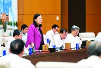 Phó chủ nhiệm Thường trực Ủy ban Dân nguyện và Giám sát của Quốc hội Lê Thị Nga phát biểu tại phiên họp 