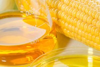 Nhập khẩu đường lỏng sirô ngô - HFCS đang có xu hướng tăng mạnh qua các năm. 