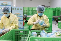 Doanh nghiệp Việt mở rộng thị trường nhờ chiến lược định vị thương hiệu 