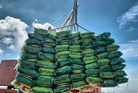 Nhanh chóng hoàn thuế VAT cho doanh nghiệp xuất khẩu gạo 